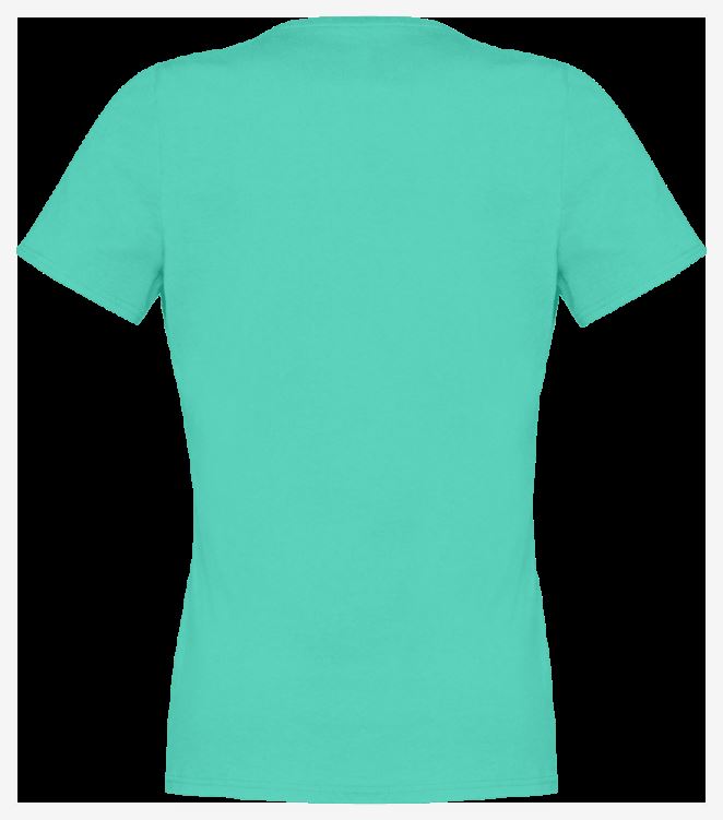 Norrona /29 Katoenen T-shirt Met Schuin Logo Voor Dames W`s Arcadia